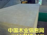 �����T�װ��Ԕ����B