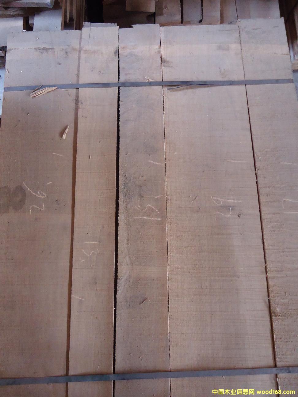 ���x�������ĵ�Ԕ����B