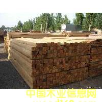 �����ɿ��ϡ���ĵ�Ԕ����B