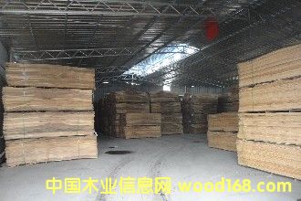 ����˹�ΰ��Ԕ����B