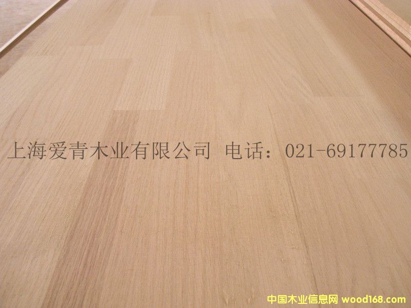 �����t���Ԕ��(x��)��B