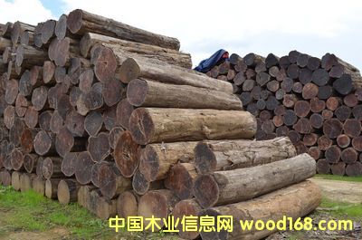 ������ľ��Ԕ����B