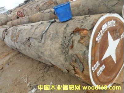 ɳ������Ԕ��(x��)��B