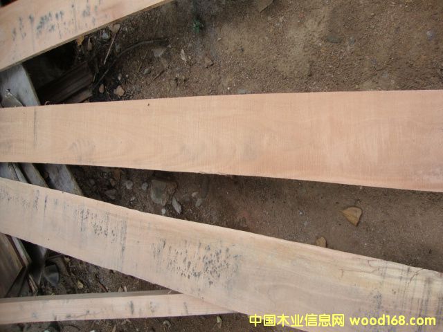 ���|�L�l�ٹ��