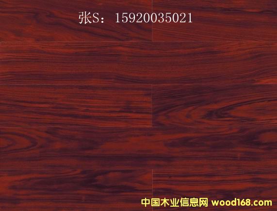 ��ľ�ذ�-������Ƕ� �ڽ�̴��Ԕ��(x��)��B