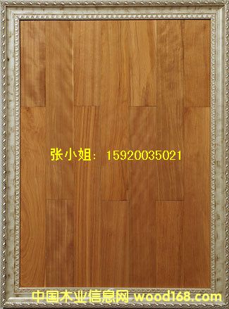 ��ľ�ذ�-����ľ�ذ��Ԕ��(x��)��B