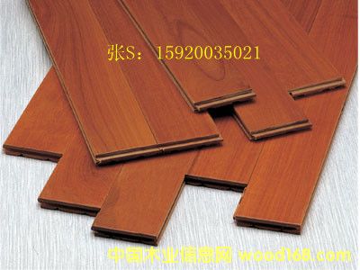 ��ľ�ذ� �t̴���F���ӣ���Ԕ��(x��)��B