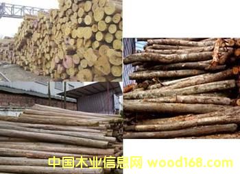 ɼľ���sľ��Ԕ����B