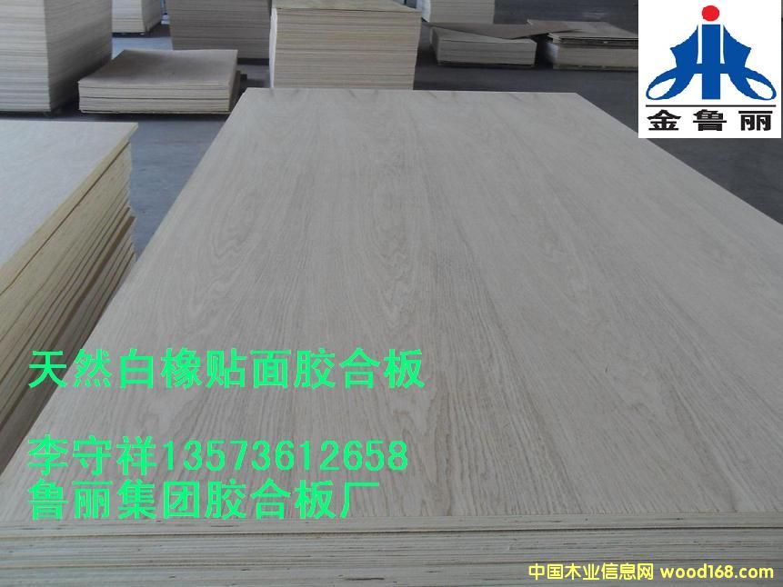 ��������z�ϰ�