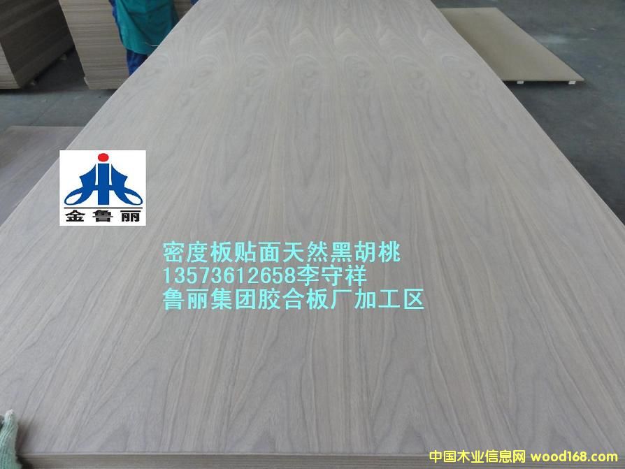 �ں�������ܶȰ�