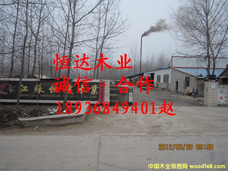 ���S���T��Ԕ����B