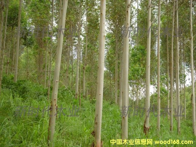 �c���鿴����ֵ�5�Ŵ�DƬ