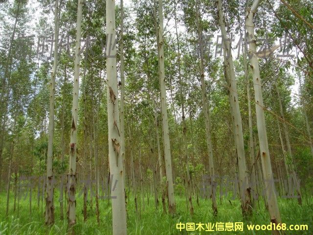 �c���鿴����ֵ�4�Ŵ�DƬ