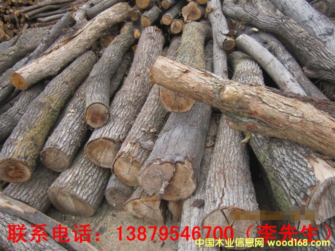 ����ľ��Ԕ����B