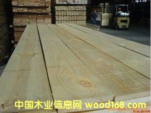 �M��������ľ