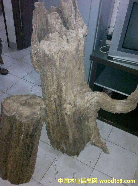 ������������ľ