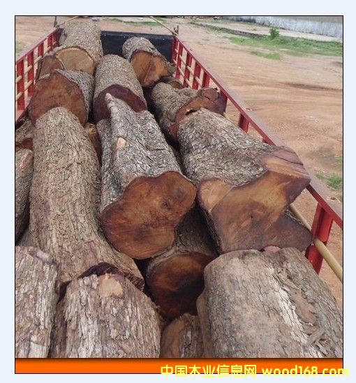 �Ӽ{������ԭľ