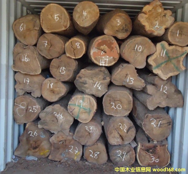 �������Ԕ����B