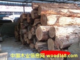 ���ľ��Ԕ����B