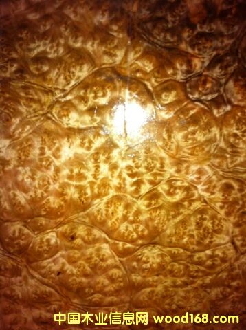 �S���������Ԕ����B