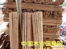 ��ľľо��Ԕ����B