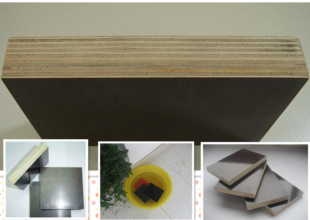 ��Ĥľ�z���Ԕ����B