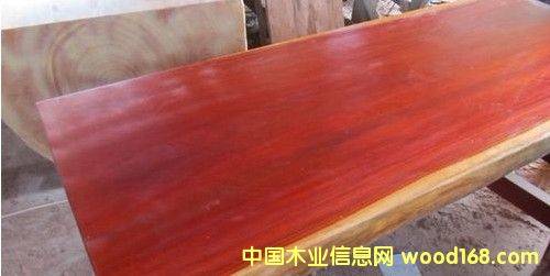 ������̴/���޻���/Pterocarpus�t����