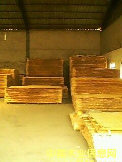 ��ľ�ΰ���Ƥ��Ԕ����B