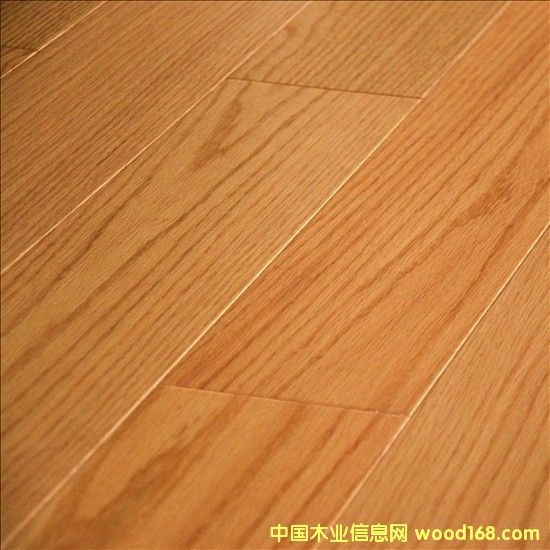 �����t����(sh��)ľ�ذ��Ԕ��(x��)��B