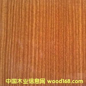 �������á��ذ����Ƹ߹��R�����B�塪�S��ľ��Ԕ����B