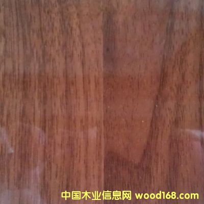 �������á��ذ����Ƹ߹��R�����B�塪��߅���ҵ�Ԕ����B