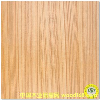 ���V��ʢ����Ȼ̩��ľֱ�y�����Ԕ����B