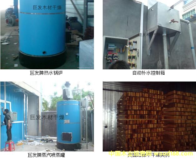 [��] 2012�ްl(f��)��ľ�ĸ������O��