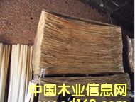 ��ľƤ��Ԕ����B