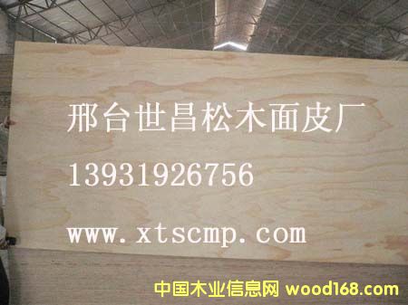 ݗ������Ƥ��Ԕ����B