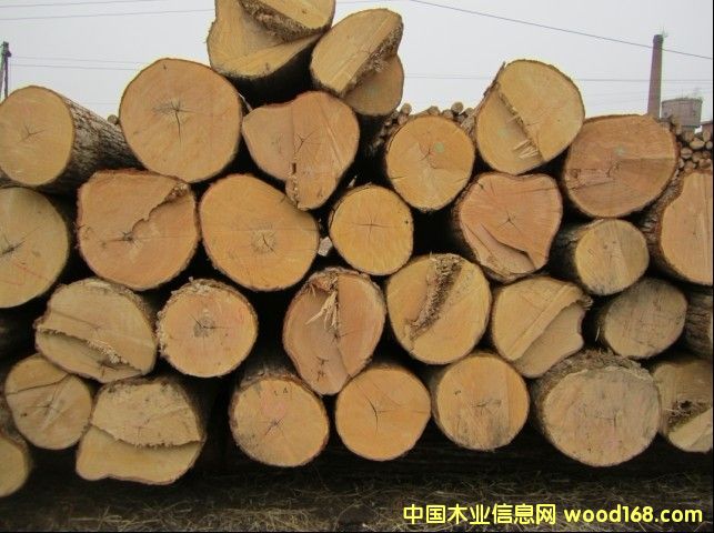 椴木的詳細(xì)介紹