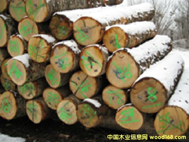 ������ľԭľ��Ԕ����B