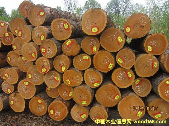 ��������ԭľ��Ԕ����B