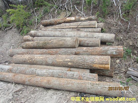 �����ľԭľ��Ԕ����B