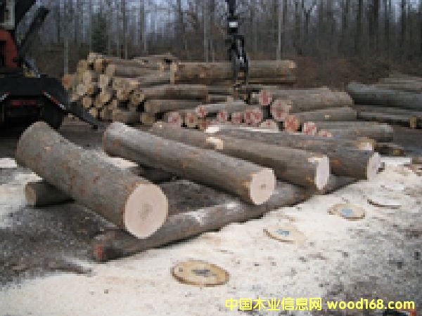 ����Ӳ��ԭľ��Ԕ����B