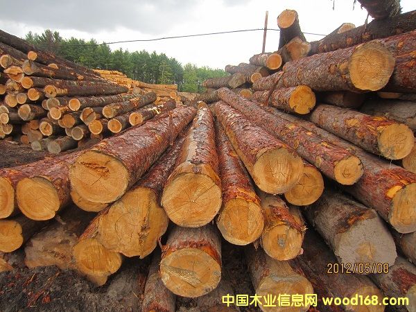 �����t��ԭľ��Ԕ����B