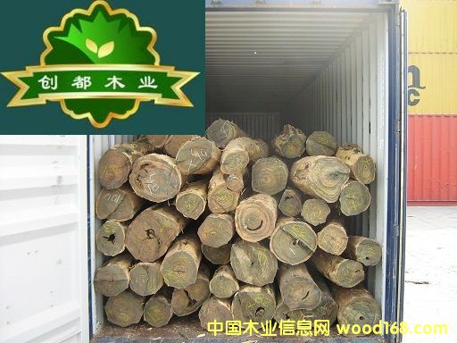 �G̴��Ԕ����B