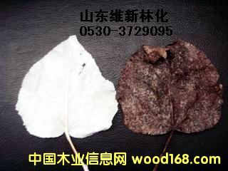 ���~Ư�ׄ�