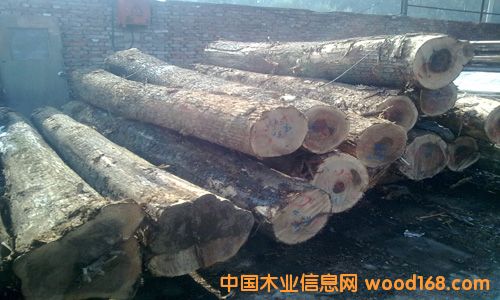 ��ľ��Ԕ����B