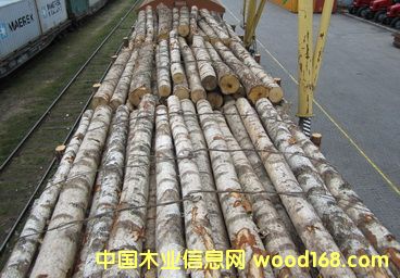 �׶��_˹��ľ��Ԕ��(x��)��B