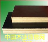 ��Ĥ���Ԕ����B