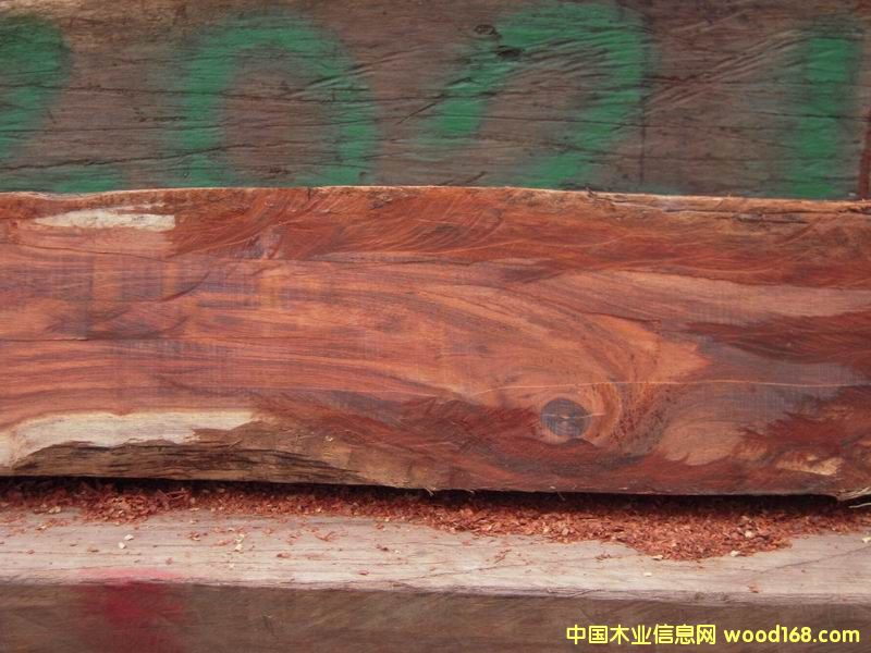 ���~�S�����Ԕ��(x��)��B