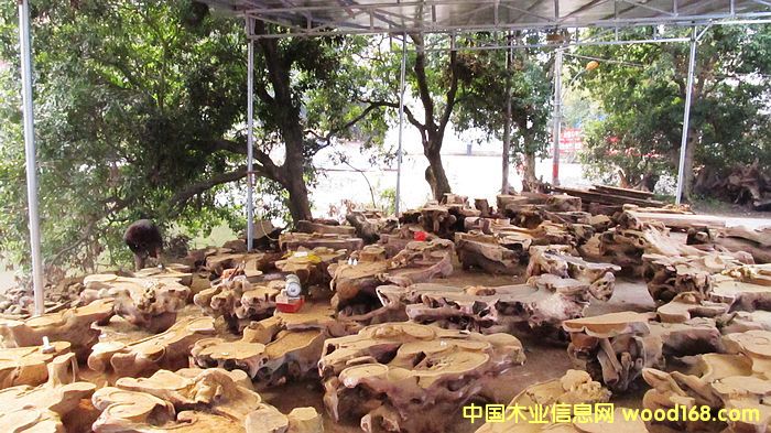 �S���������