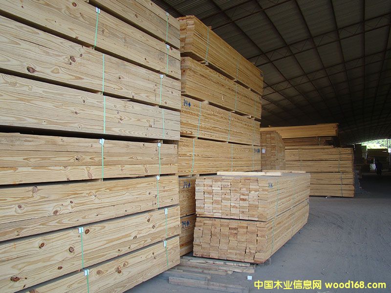 南方松的詳細介紹