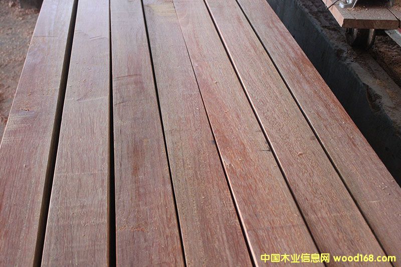 康巴斯的詳細介紹